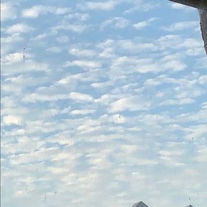 Meet your Posher, Darlene